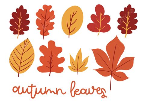 leaf clipart|Explore 17,089+ Free Leaves Illustrations: Download Now .
